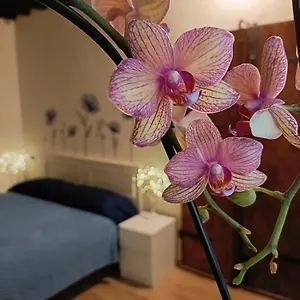 Il Giardino Segreto Appartamento
