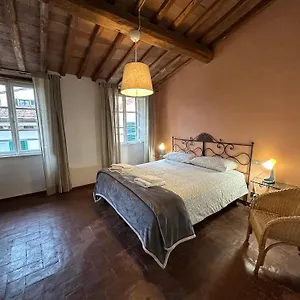 Nido Sui Tetti Di Lucca, Romantico E Centralissimo Appartamento